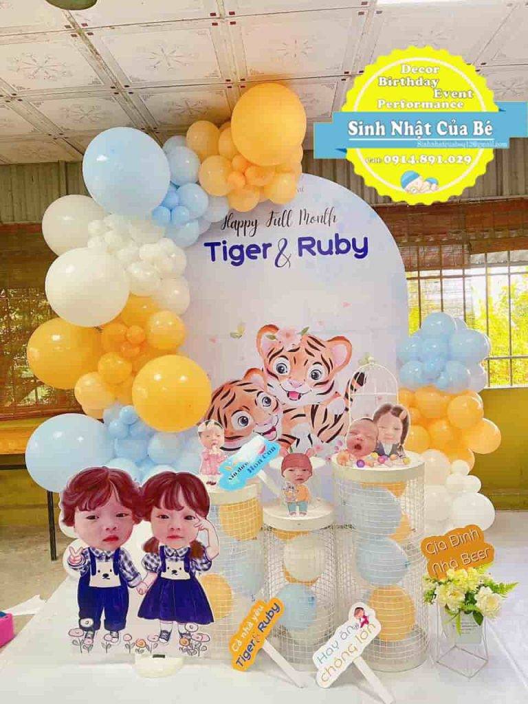 trang-tri-sinh-nhat-tuoi-ho-song-sinh-2T-120