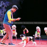 dich vu dien xiec thu vui nhon 1 min